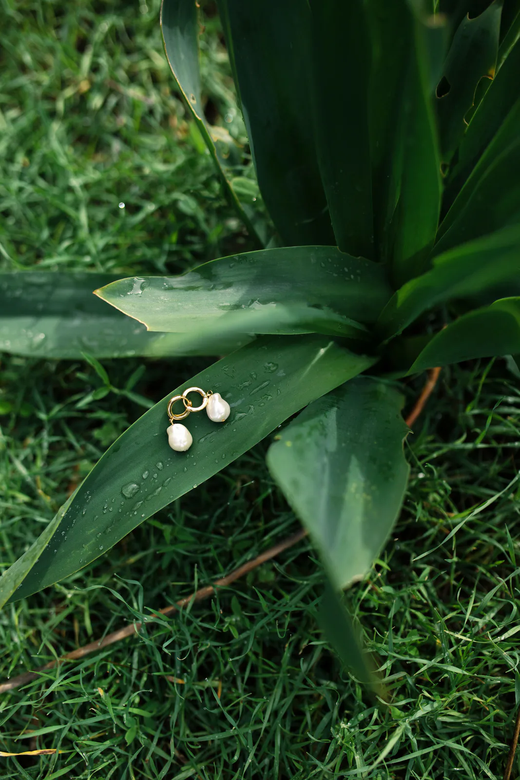 Lagoon Light - freshwater pearl earring in stainless steel